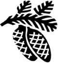 tannenzweig