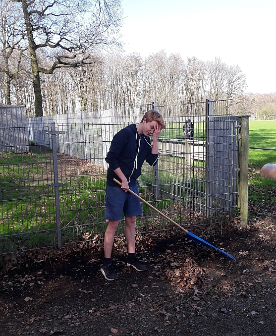 wharbeit1
